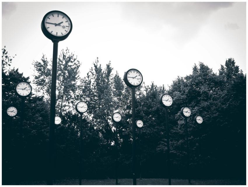 A collection of clocks set against a backdrop of t
