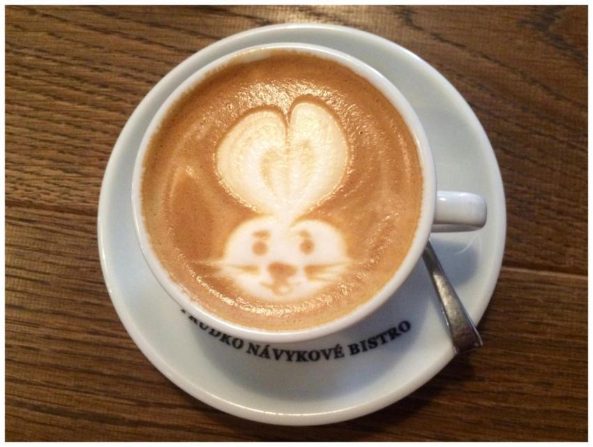 A delightful cup of coffee with rabbit latte art o
