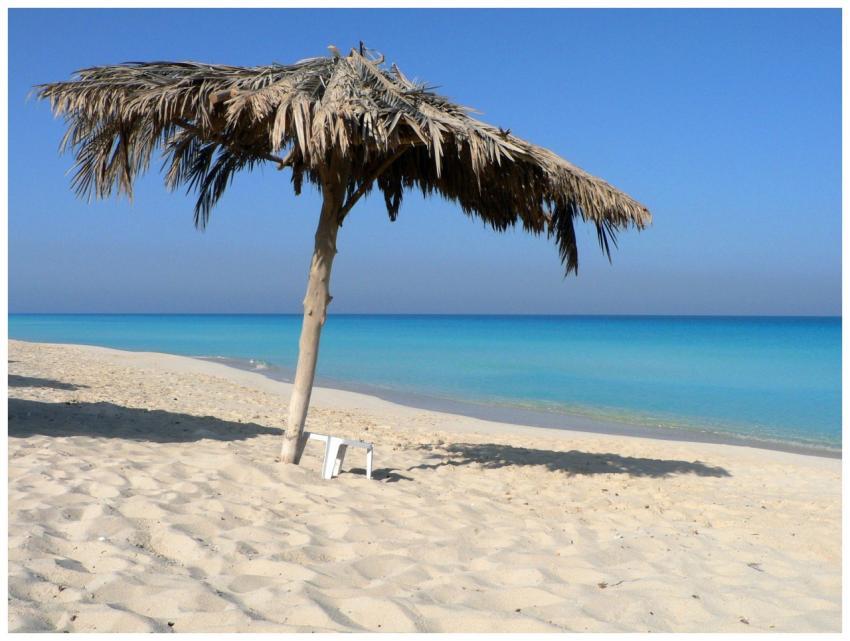 Serene Beach Straw Umbrella