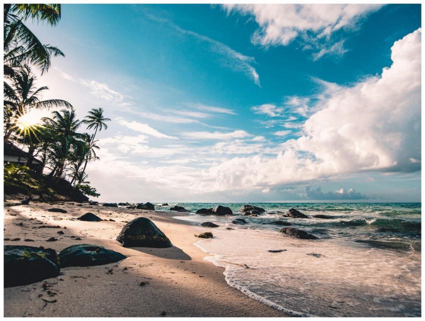 Experience the serene beauty of a tropical beach i