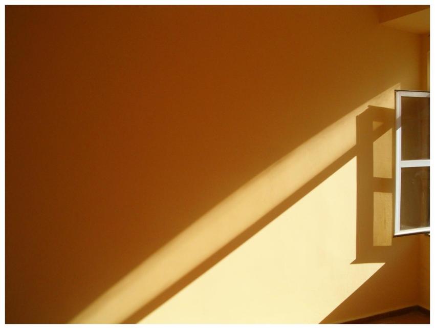 Warm sunlight streams through an open window, crea