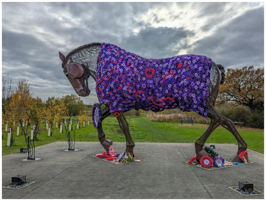 Free stock photo of november, poppies, quilt