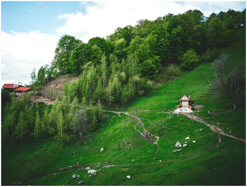 Aerial view of charming countryside homes amidst l