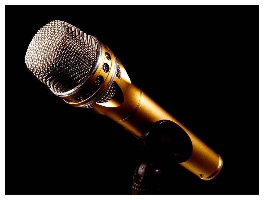 Microphone Music To Sing To Speak