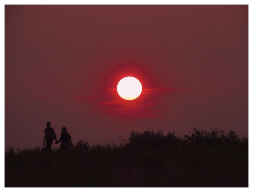 Sunset Red Few Nature