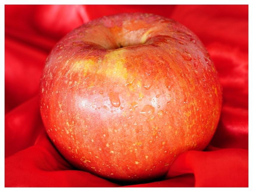 Fruit Apple Organic Red