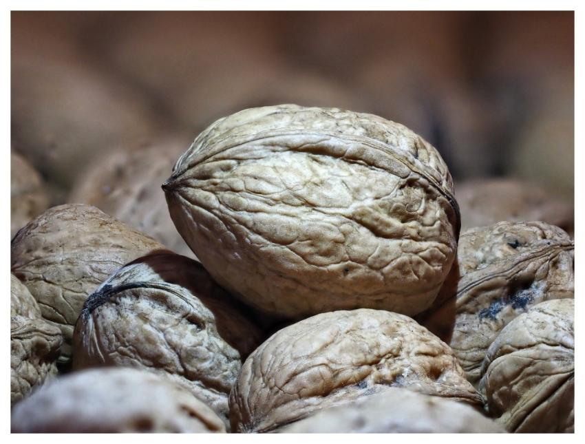 Nut Walnut Healthy Meal