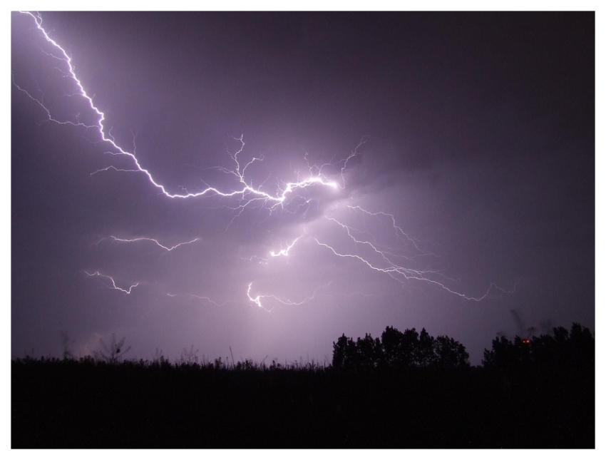 Lightning Storm Night Firebird