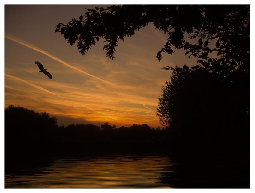 Sunset Lake Reflection Waves