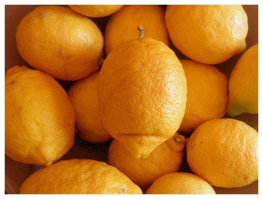 Lemons Fruits Fresh Fruits Citrus Fruits