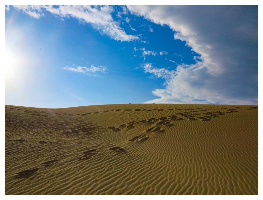 Sand Sandhill Desert Sun