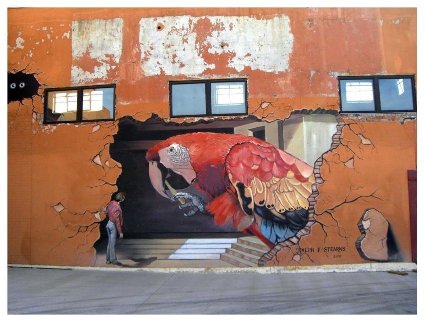 Art Street Art Wall Art Surrealism