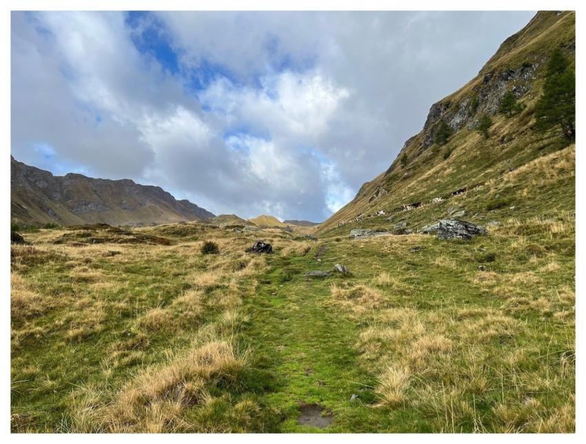 The White Top Of The White Alpine Route Alps Walk