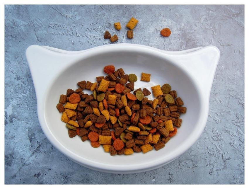 Cat Food Animal Pet Food