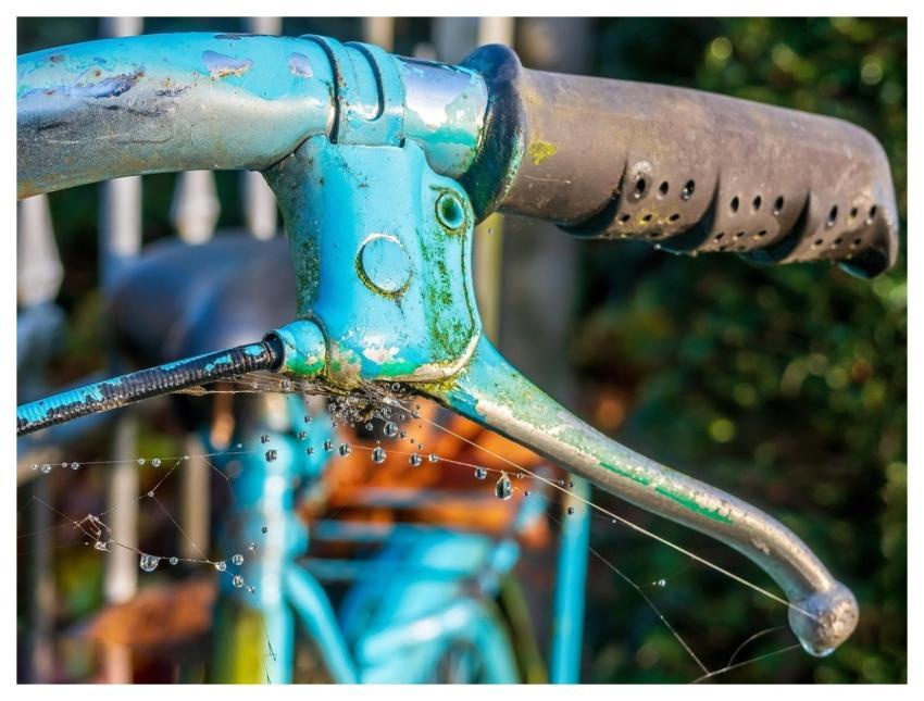 Bicycle Old Historical Cobwebs