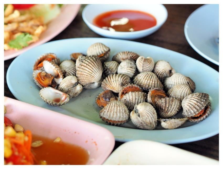 Cockle Boiled Scallop Food Isaan Food