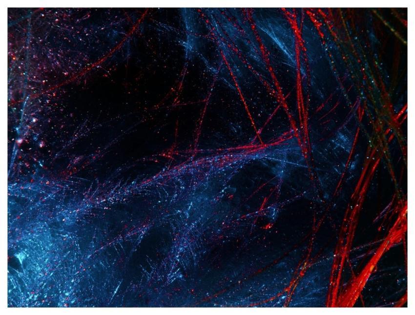 Abstract Painting Feathers Beautiful