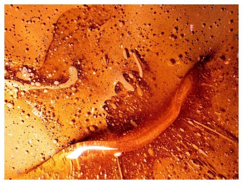 Colorful Colors Oil Surface