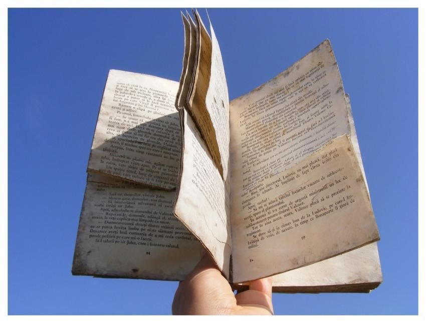 Blue Book Dusty Hand