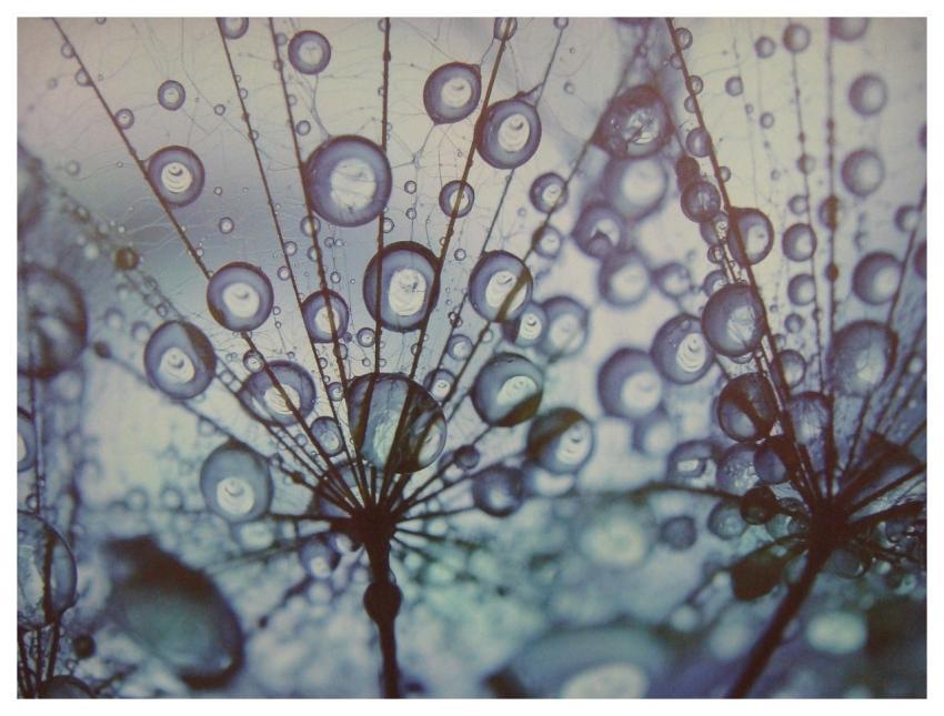 Art Abstract Design Gray Abstract