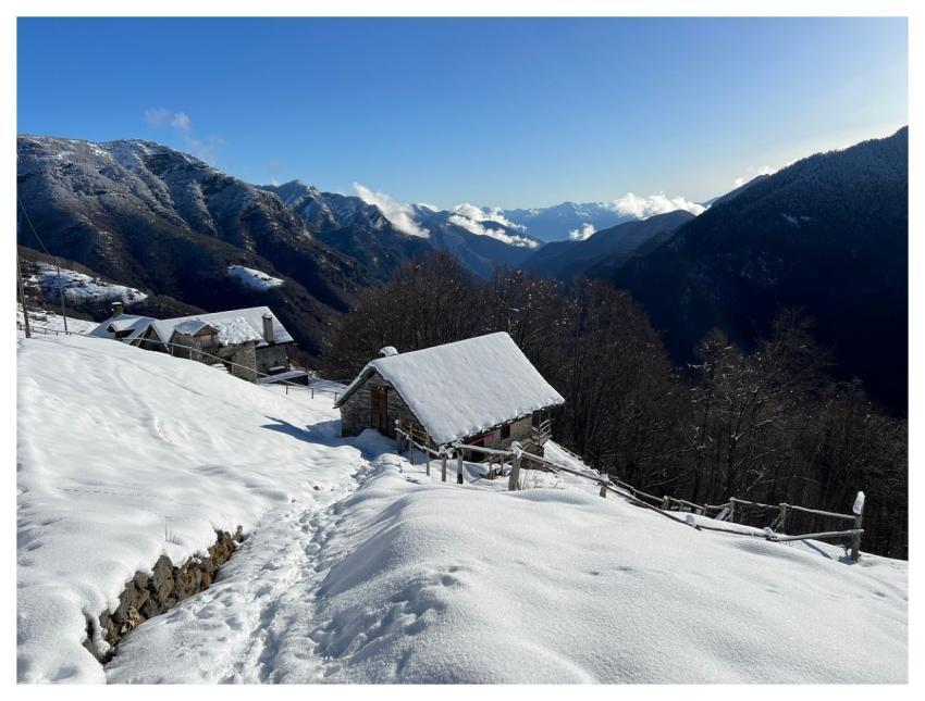 Munzeelümm Excursions Alpine Route Alps