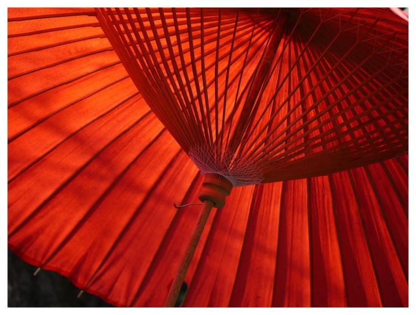 Umbrella Parasol Japanese Umbrella Paper Parasol