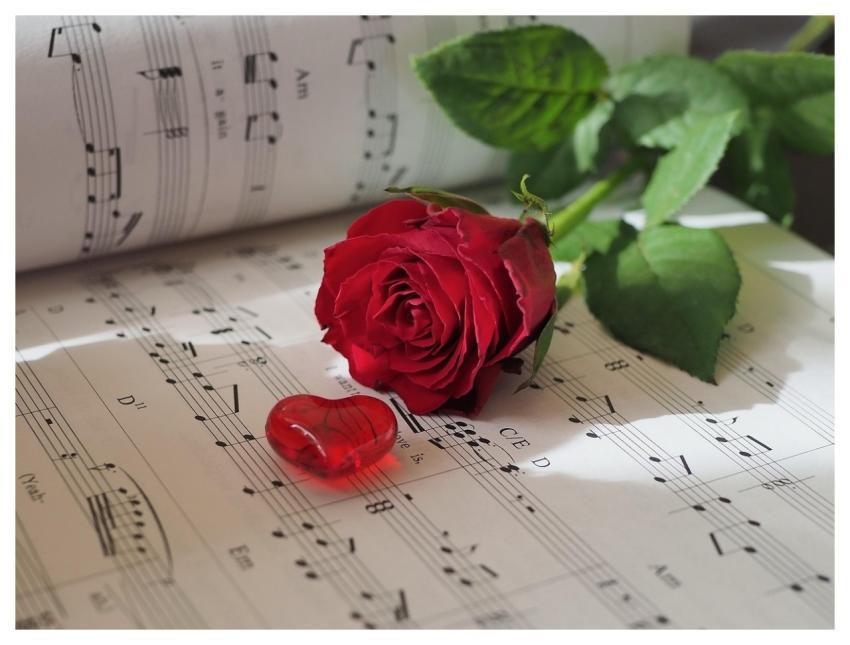 Sheet Music Rose Heart Love