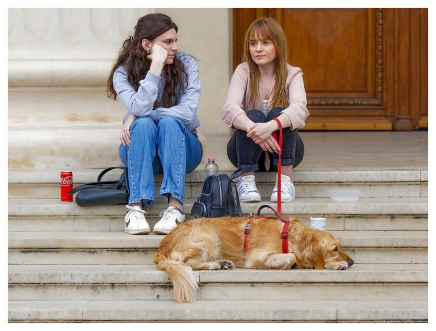 Girls Casual Dog Pet