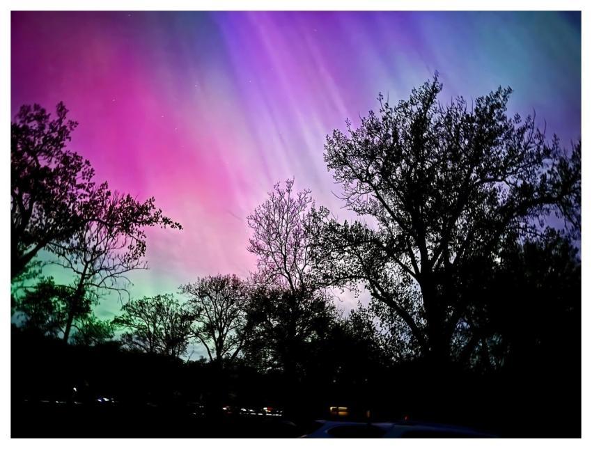 Trees Silhouette Northern Lights Nature