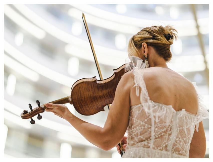 Violin Violinist Musician Instrument