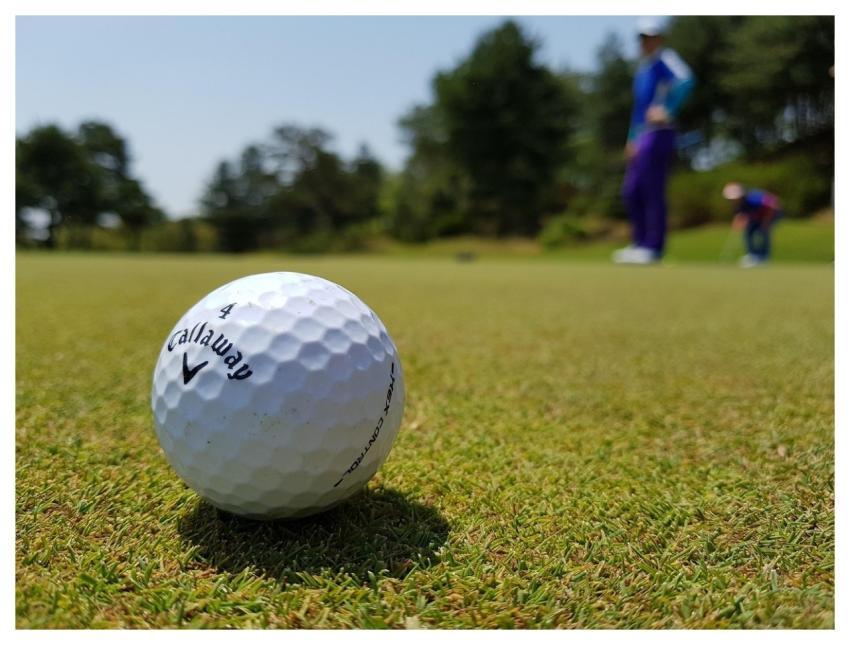 Golf Golf Ball Golfers Golf Club