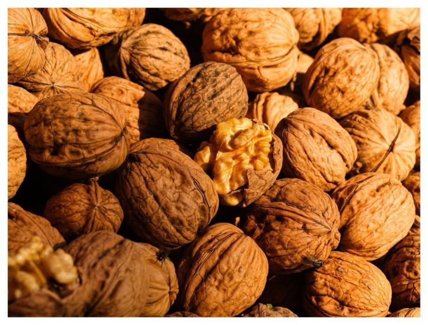 Walnut Shell Snack Cookie