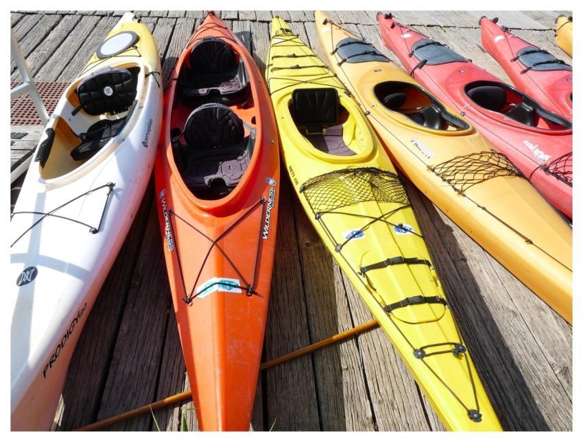 Kayaks Boat Color Sport