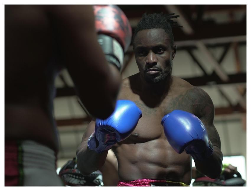 Boxing Boxers Boxing Ring Sports