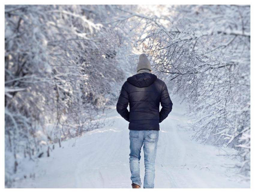 Man Walk Forest Alone