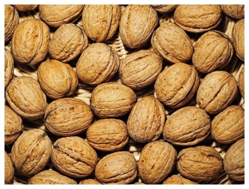 Nuts Walnuts Snack Food