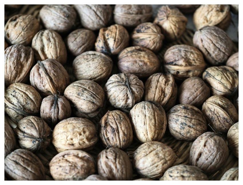 Nuts Walnuts Food Healthy