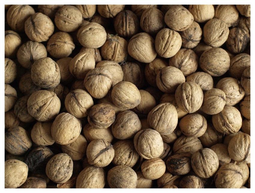 Walnuts Cool Backgrounds Wallpaper Hd Greek Nuts