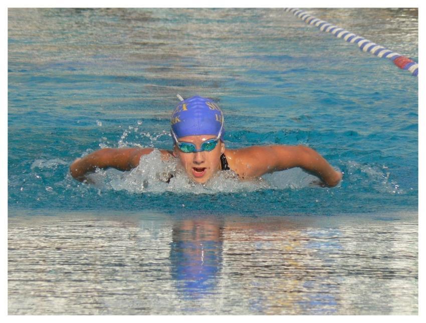 Sport Nature Swimming Butterfly