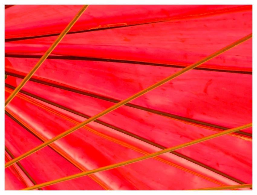 Vivid Red Umbrella Parasol