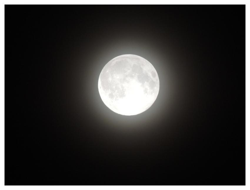 Moon Night Night Sky Big Moon