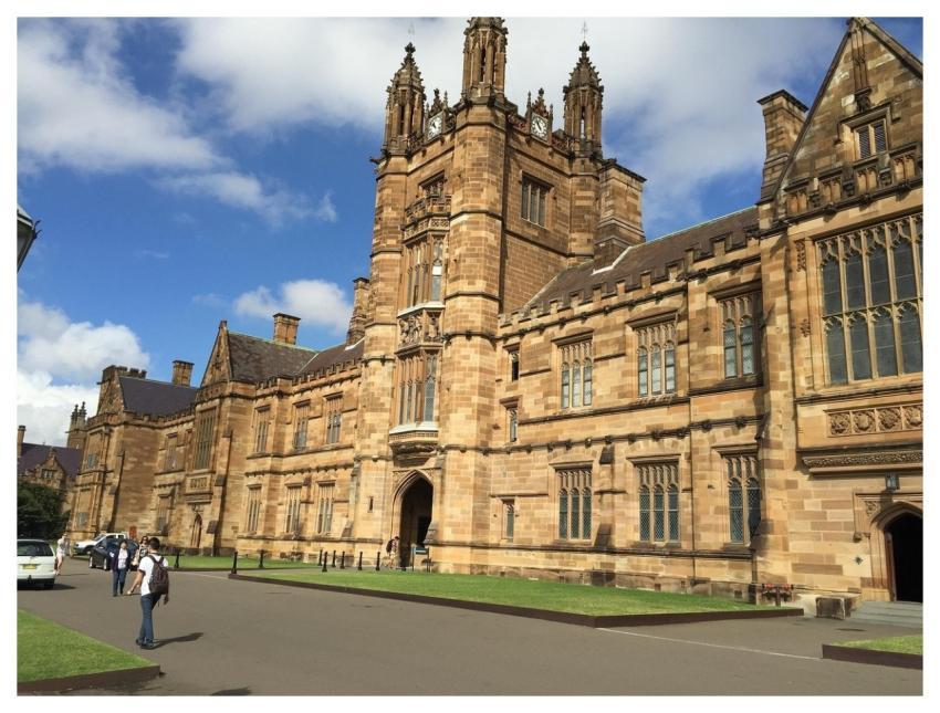 Sydney University Usyd Education