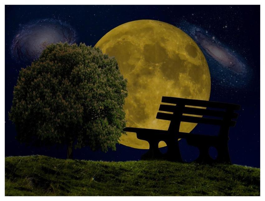 Moon Stars Universe Tree