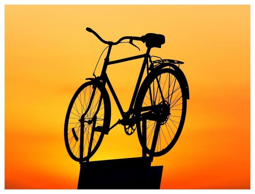 Bike Bicycle Wheel Nature