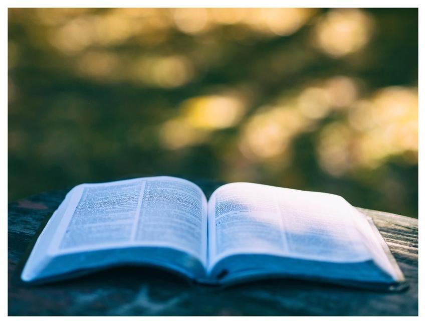 Book Pages Open Book Read