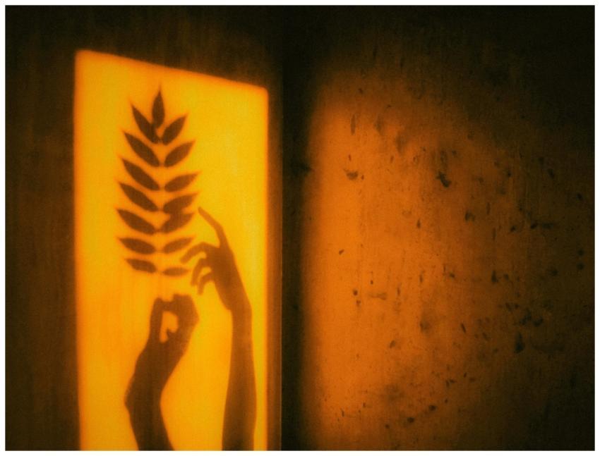 Artistic shadow of hands and leaves on a warm-tone