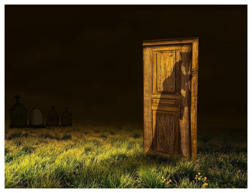 Halloween Witch Shadow Spooky