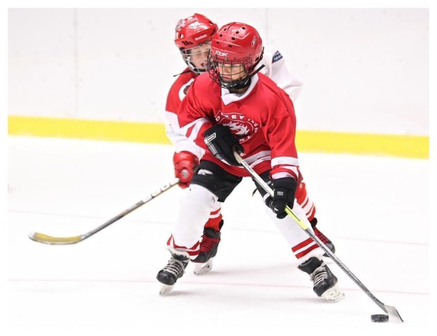 Hockey Sport Hockey Stick Puck