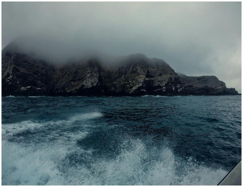 A dramatic seascape featuring fog-covered cliffs a