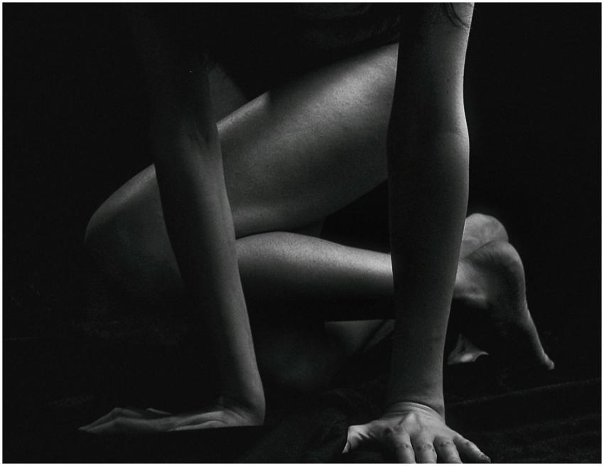 Elegant black and white portrait of a nude woman i